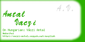 antal vaczi business card